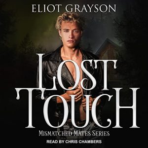 AUDIOBOOK LOST TOUCH